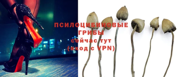 каннабис Арсеньев